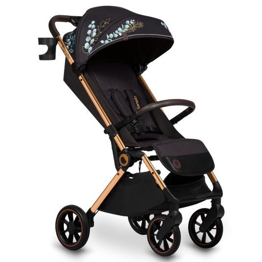 Lionelo Cloe lightweight stroller (6 color options)